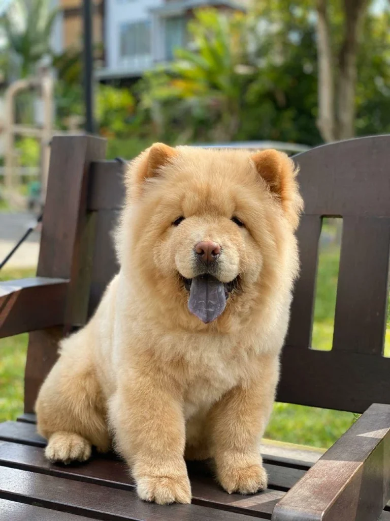 933636 722249 768x1024