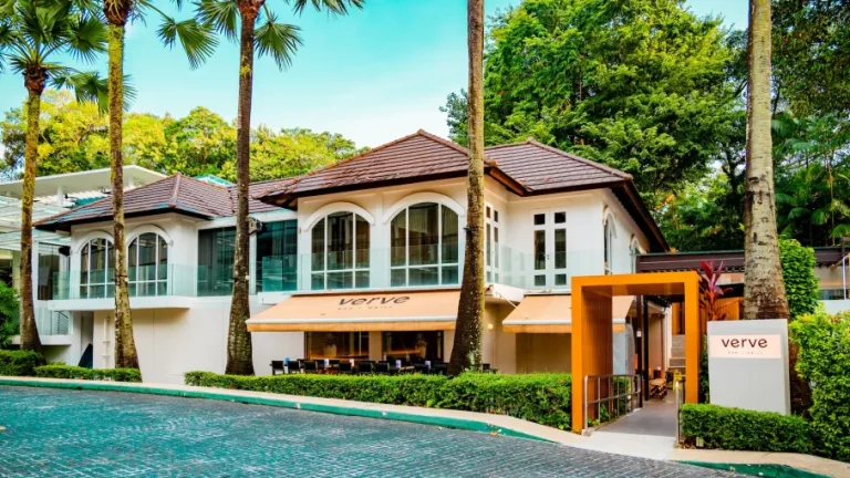 DSC 3014 1 1.jpg 768x432