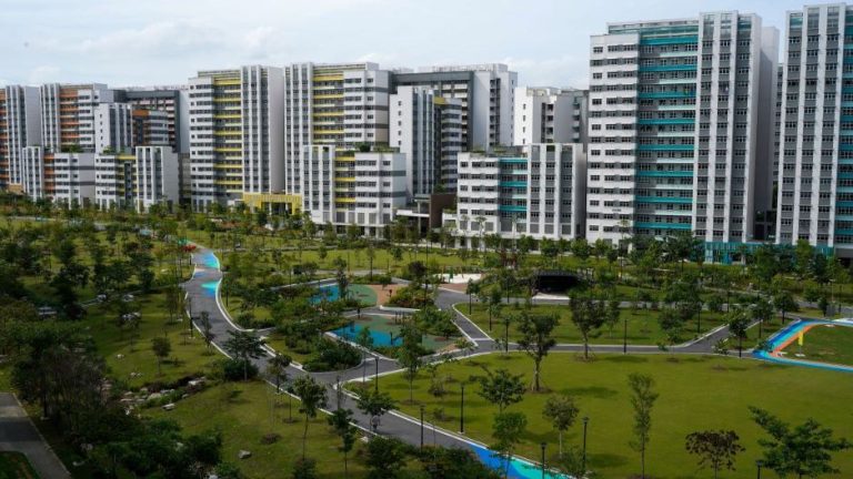 copy of dsc01317 resized 768x432