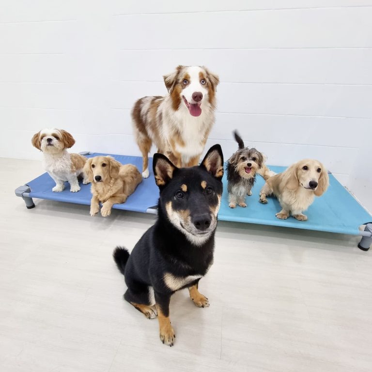 image asset 1 768x768