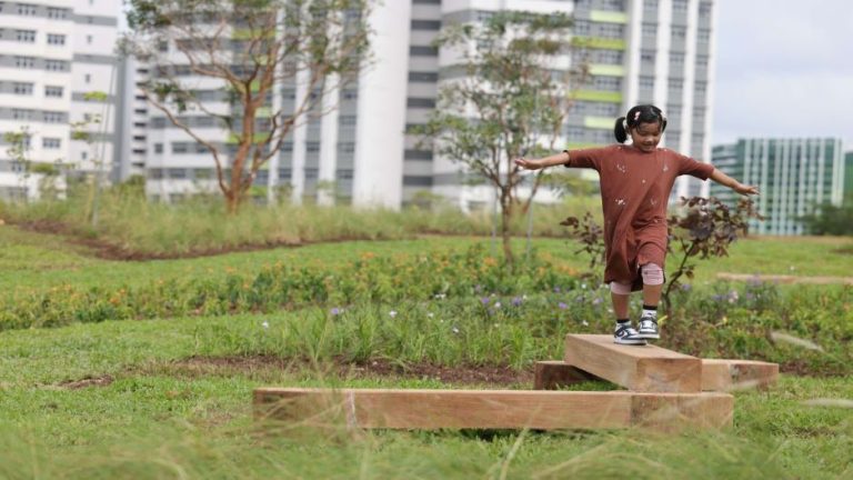 nature play resizedea266cdb c93a 40e2 84f0 379eb801add4 768x432