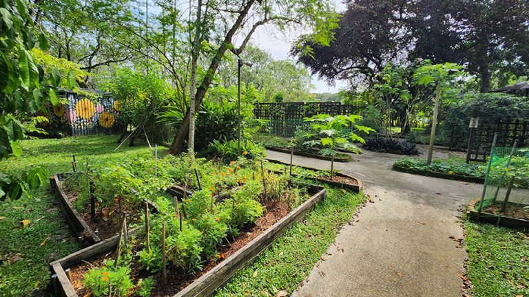 pasir ris park hero kitchen garden 768x432
