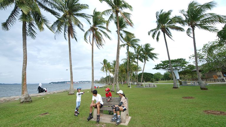pasir ris park hero palm trees 768x432