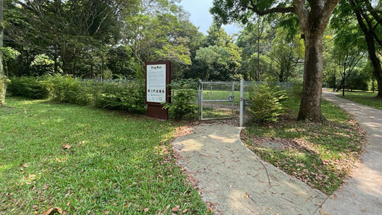 punggol park dog run