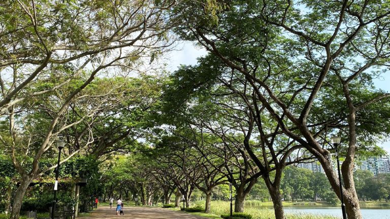 punggol park hero lake side 768x432