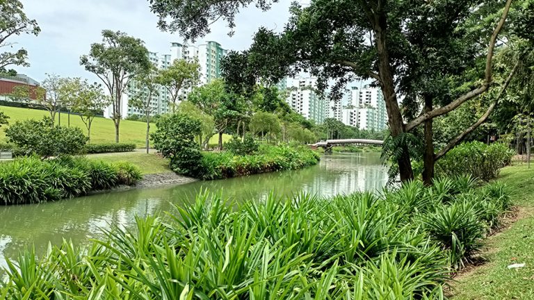 punggol waterway park hero waterway 768x432