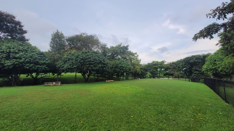 sengkang riverside park hero dog run 768x432