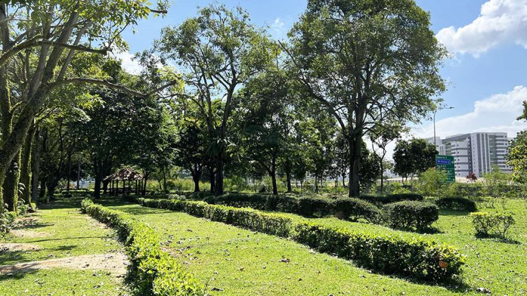 sun plaza park hero greenery 768x432