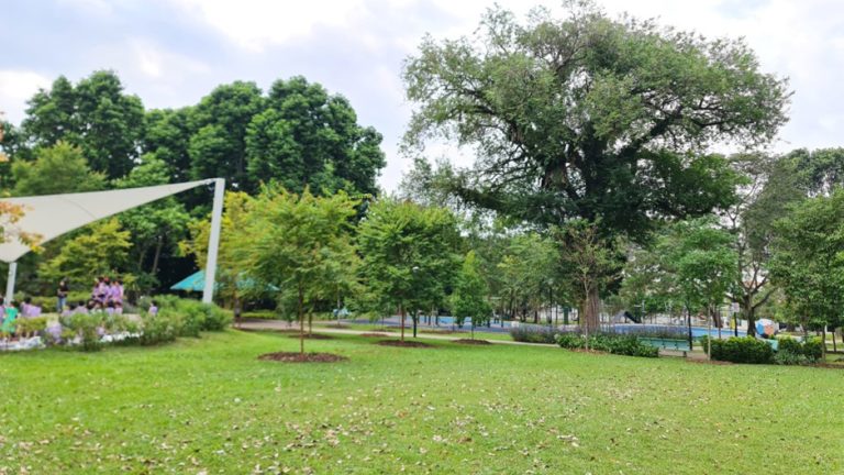 surin avenue playground hero 768x432