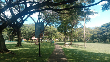 west coast park dog run activity amenity