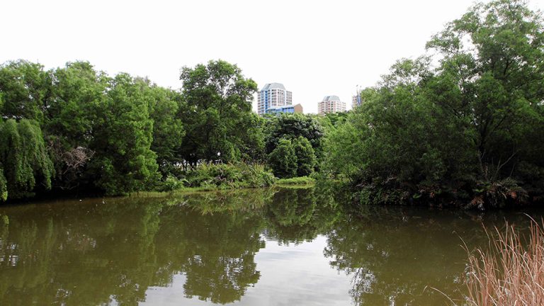 west coast park hero marsh 768x432