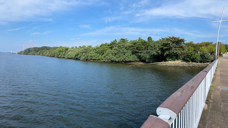 woodlands waterfront park hero 768x432