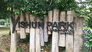 yishun park arboretum special feature
