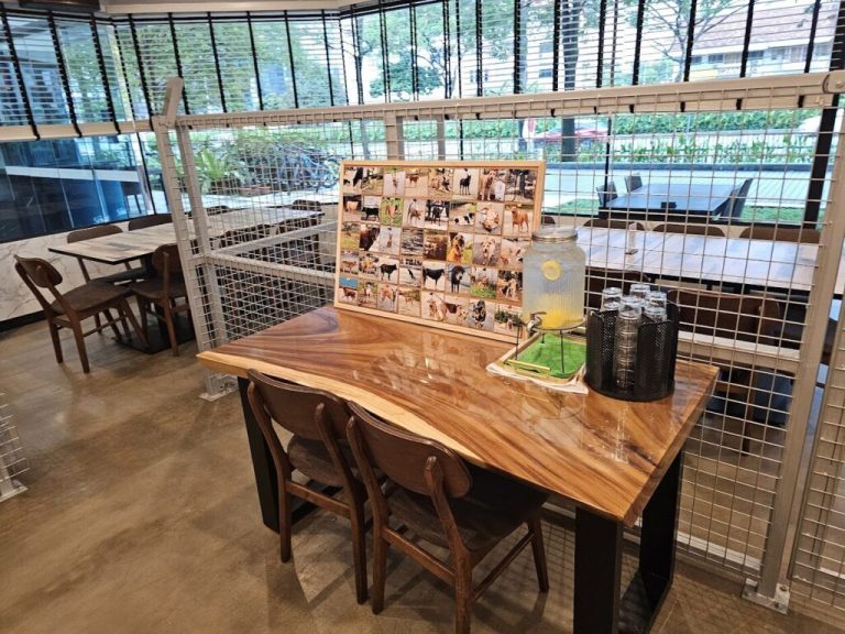 image 6 1024x768 1 768x576