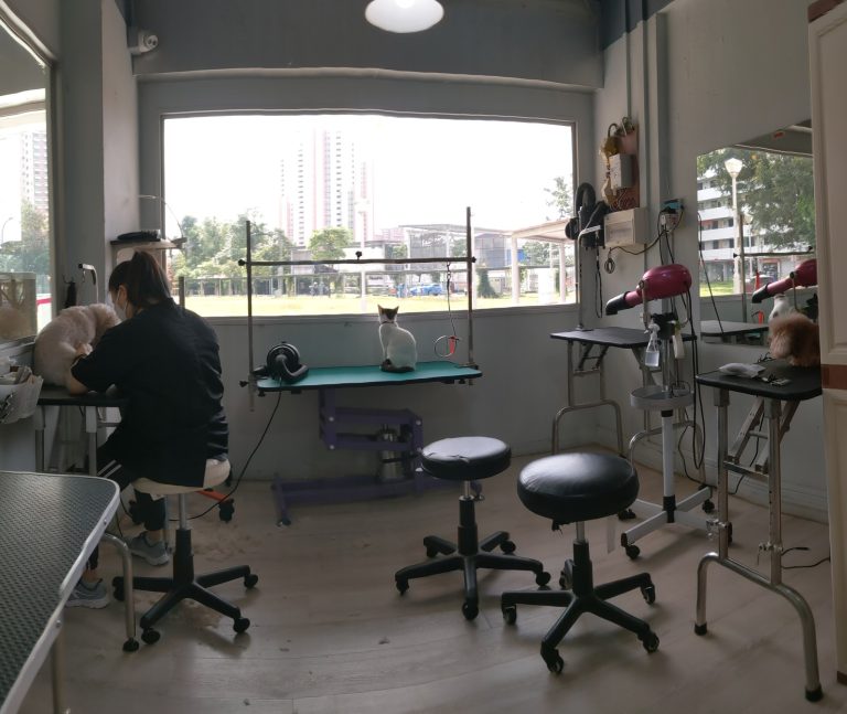 195135283 4016017705113678 6713943522580092862 n 768x647