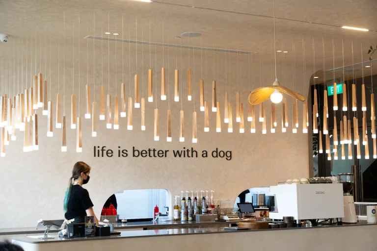 1G2A7149 1ee677a2 138c 4ffc ad90 e884de7cc700 768x512