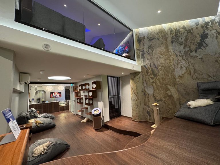 2025 08 25 17.31.03 768x576