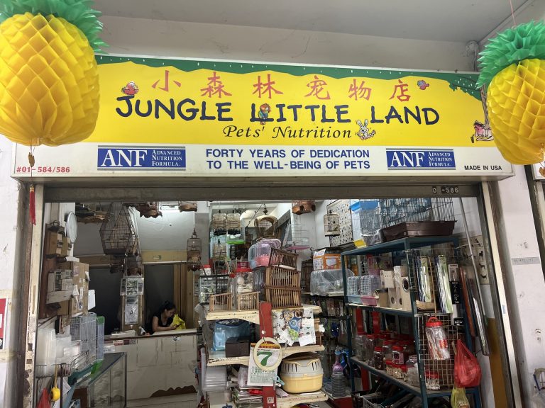 309392053 10158940749111592 9197002570006202920 n 768x576