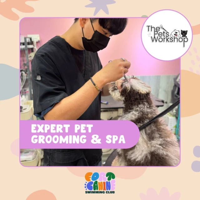 460236704 1160989431666187 8371469724743511599 nfull