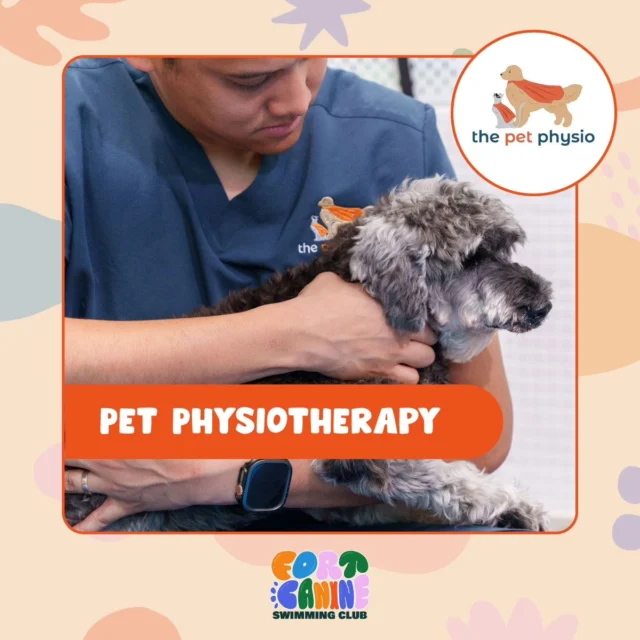 460554495 838333805095704 4778112566874891196 n.heicfull