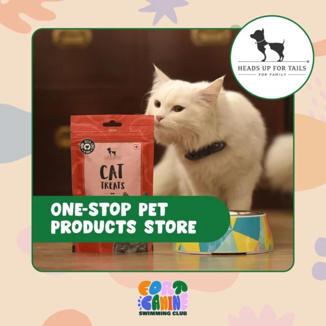 461193928 1239190483788139 2591138826096617769 nfull