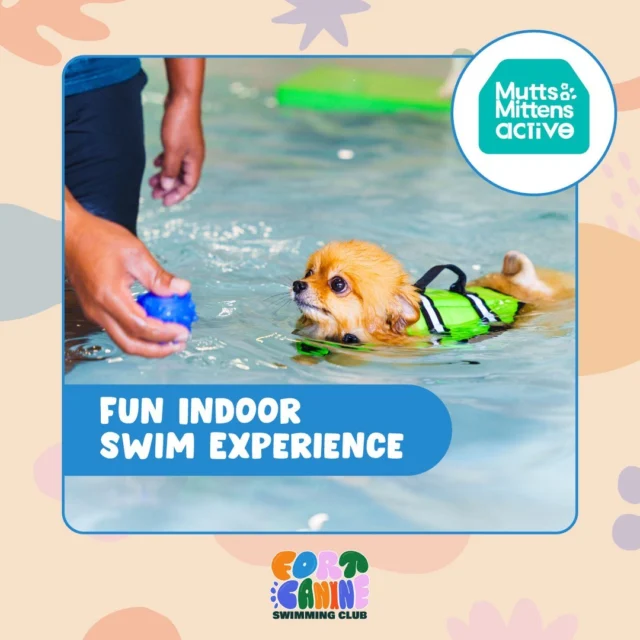 461368641 1068358858133450 6463244856241618133 nfull