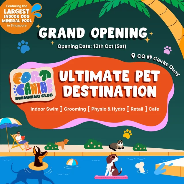 461662054 17861757663239367 7308471706116603641 nfull