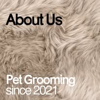 467433080 18023630189551309 2808398386773628499 n