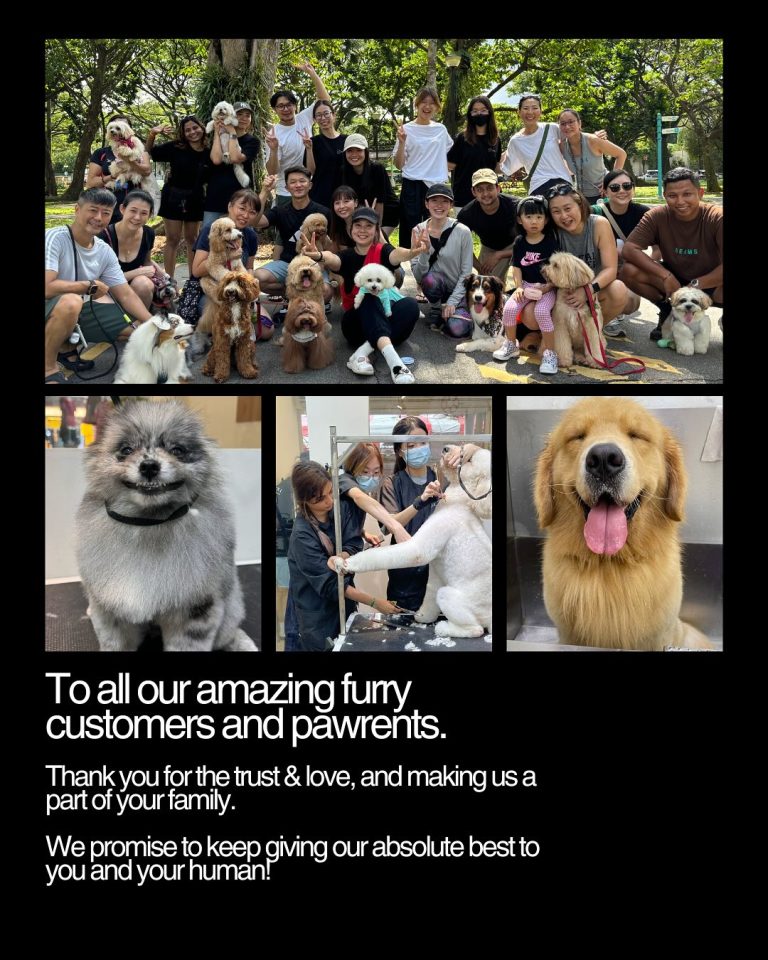 467529857 18023630180551309 2908098638554311316 n 768x960