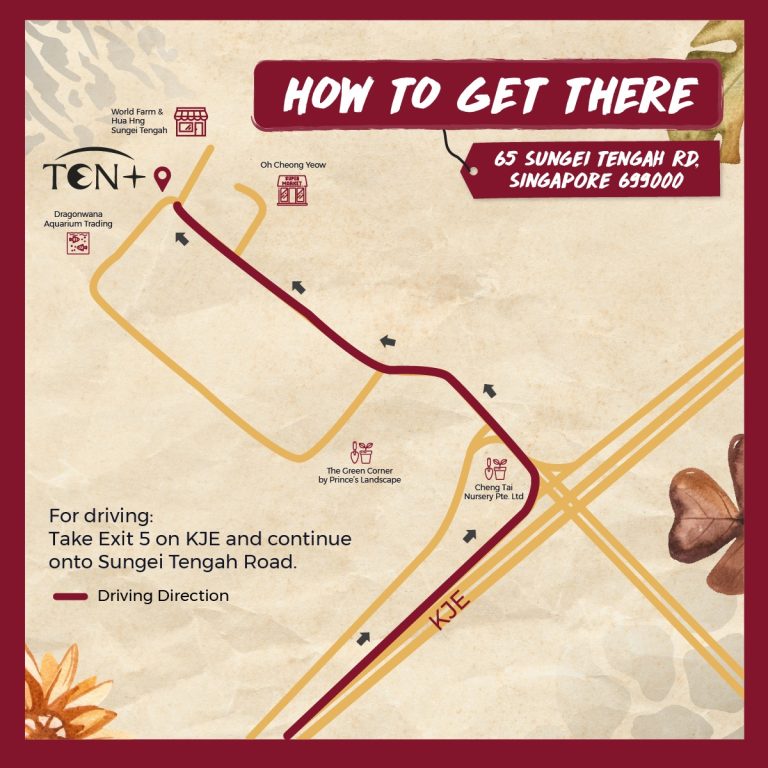 475811652 616269484687599 5351492681050878413 n 768x768