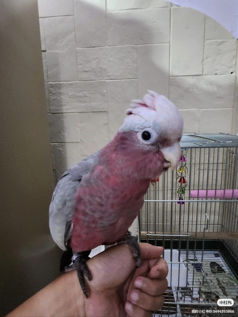 476797848 606823852210013 2940754792181570193 n 768x1024