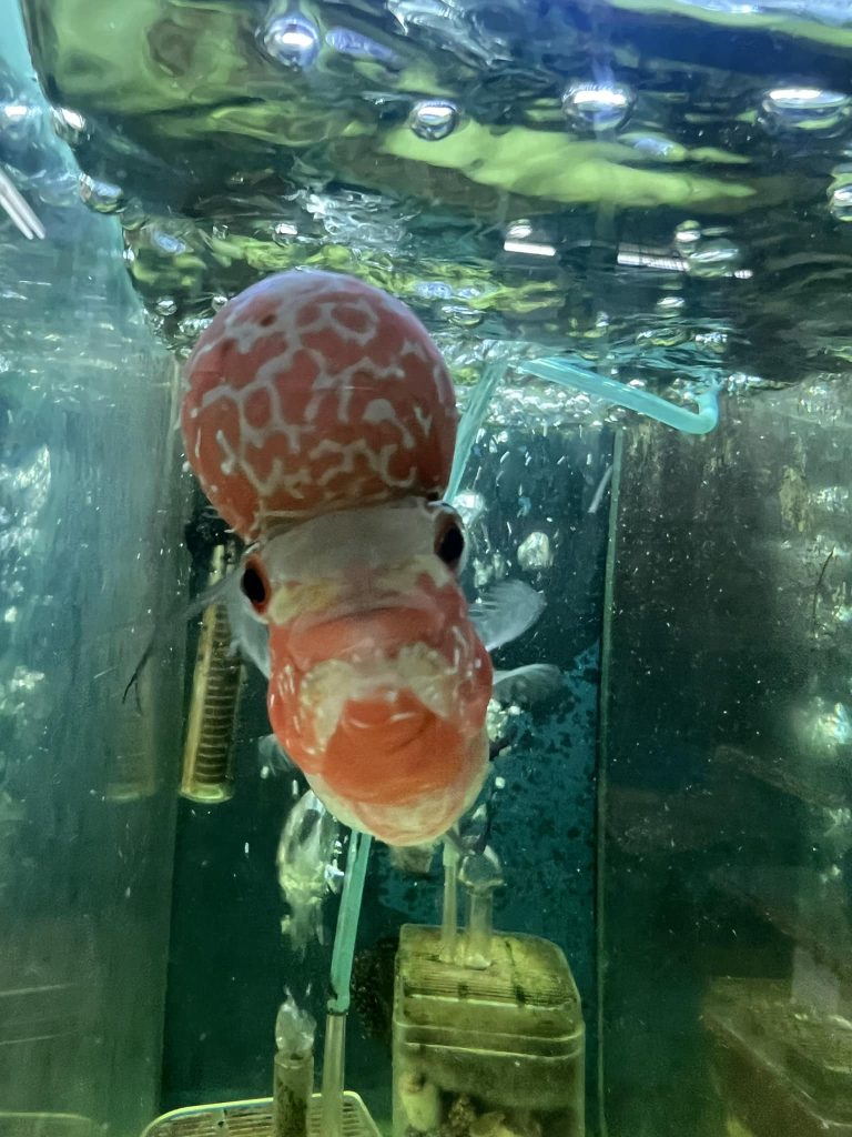 480318729 610779301814468 8187895065717674113 n 768x1024