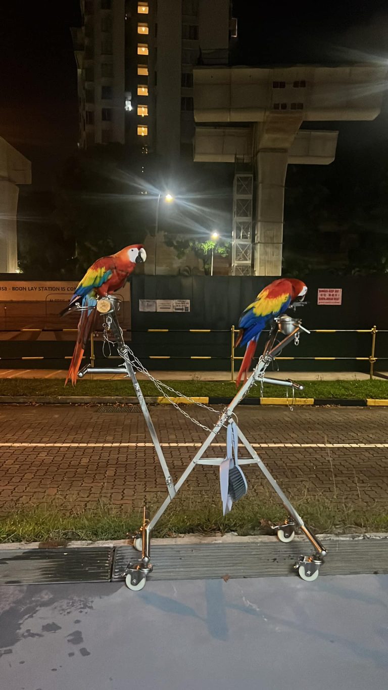 480450968 612639028295162 5467893784709113718 n 768x1365