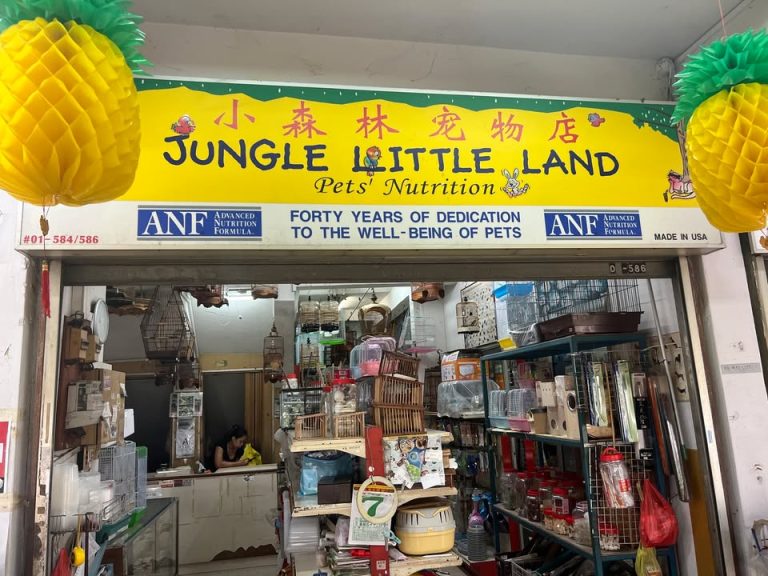 509032426 10161444446251592 4512005121125555541 n 768x576