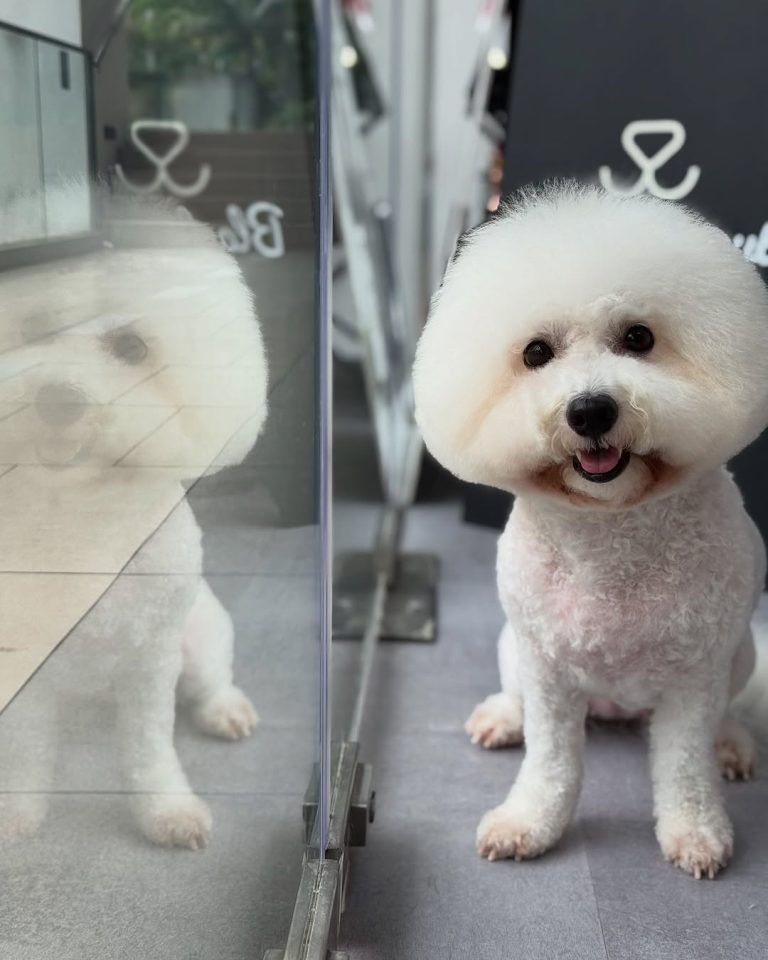 513906859 17974732784887267 3601714119792253921 n 768x960