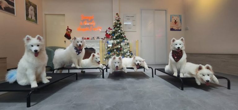 515175418 10163118103426552 4093544576327211024 n 768x354