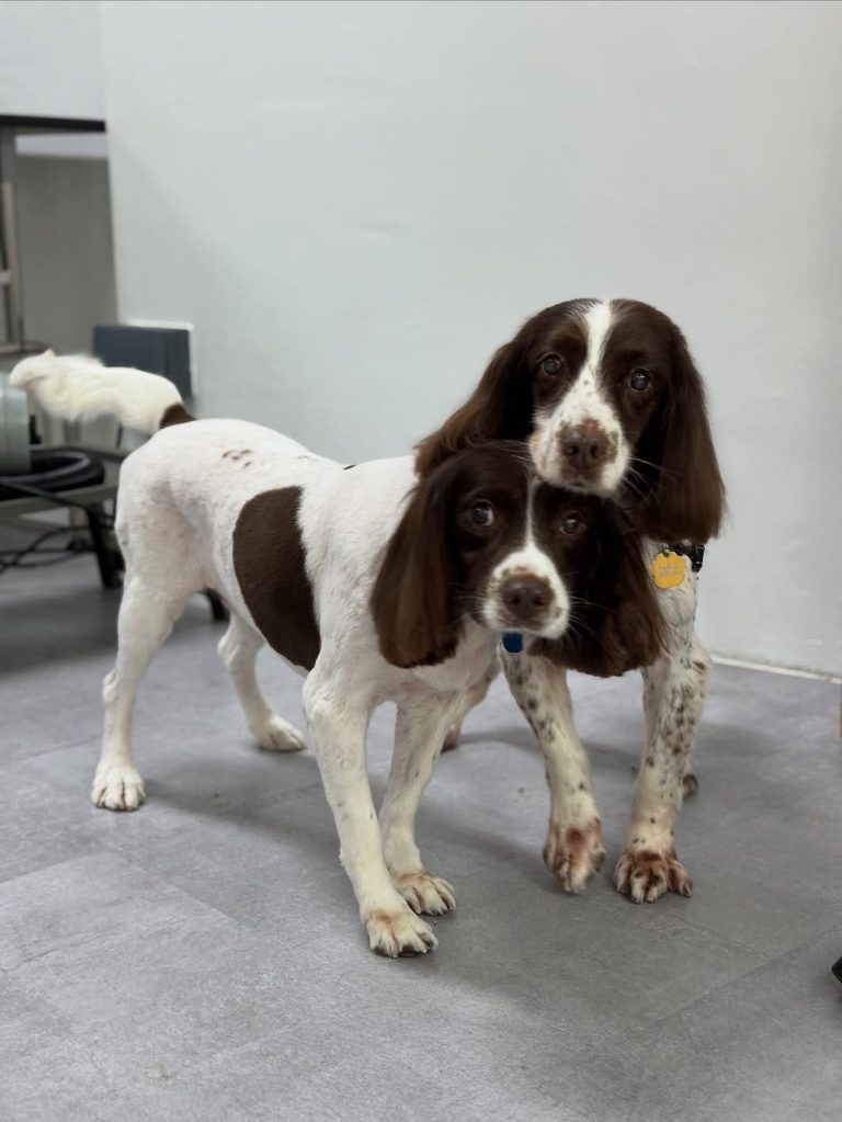 561162041 17986452329887267 7463592156782448054 n 768x1023