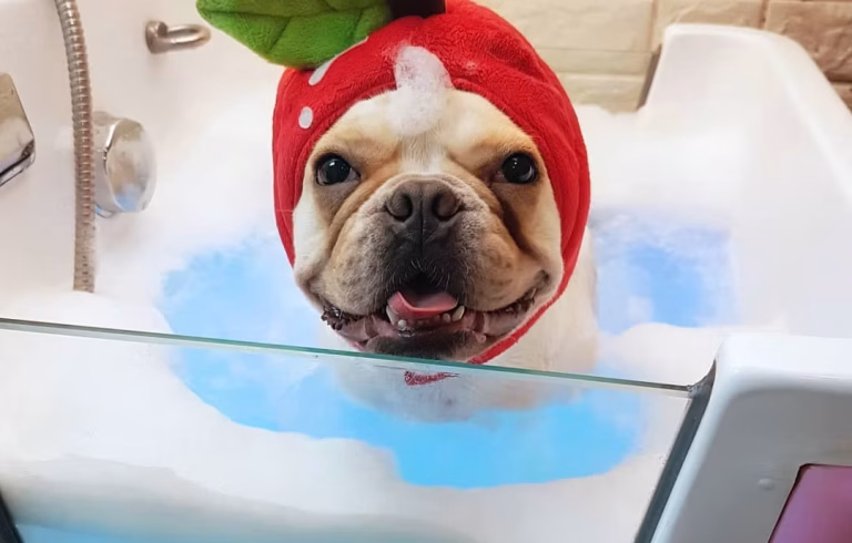 5f463f 0f14eea3d0cb4930bc517b87b89e94dcmv2 768x490