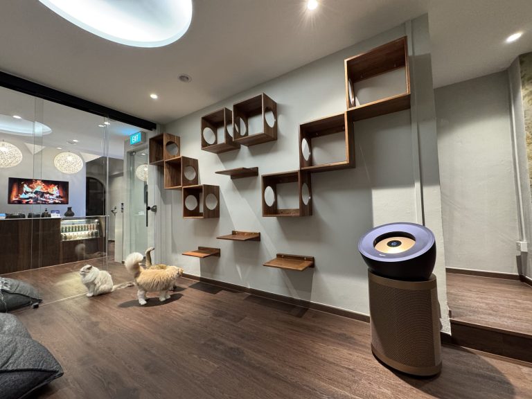 IMG 8404 1 scaled 1 768x576