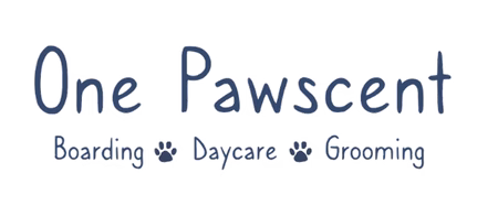 Title and slogan transparent