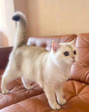 photo 2025 04 1500.19.03