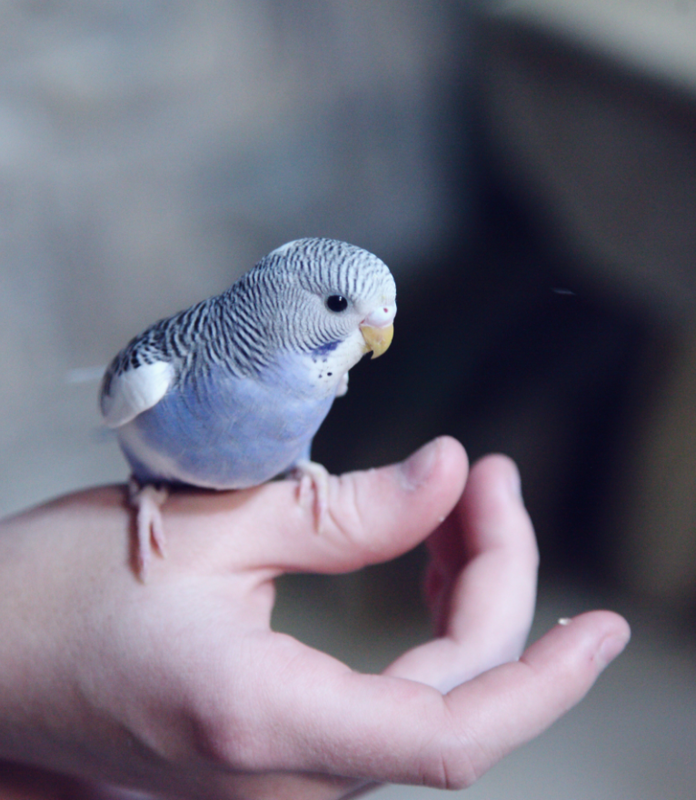 sharon mccutcheon W5D 7paUa0 unsplash 11