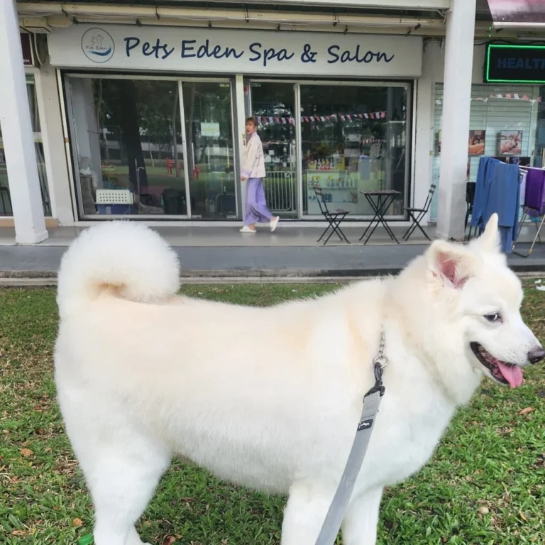 2025 07 21 1 768x768