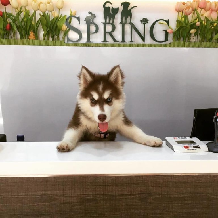 473422568 577870198543226 4473066697310097359 n 768x768