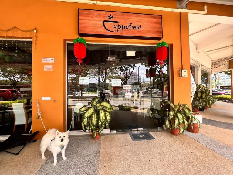 476673832 18261148660283372 7987912118526903718 n 768x576