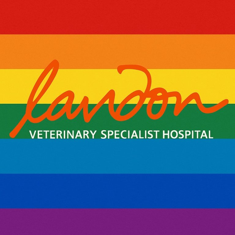 503803223 1169978544929996 713936100731368354 n 768x768