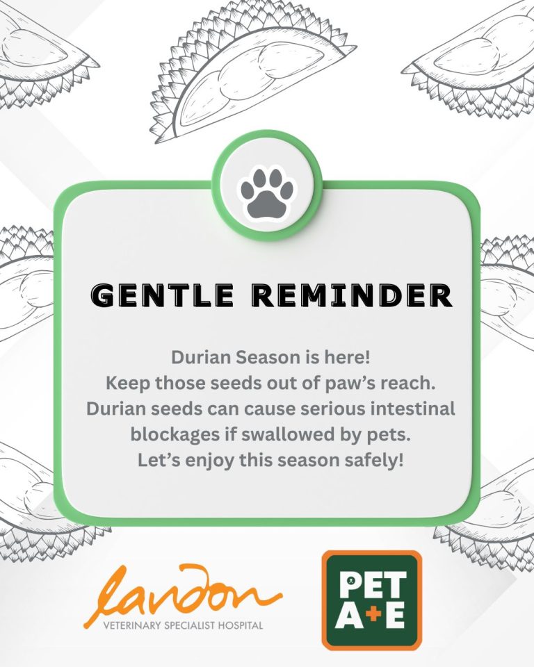 518362847 1202406855020498 4388318431602552511 n 768x960