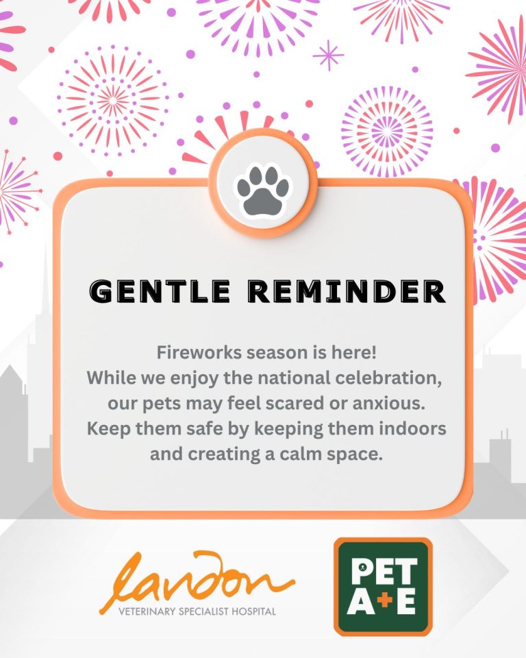 525132041 1211421420785708 2895041492810917922 n 768x960