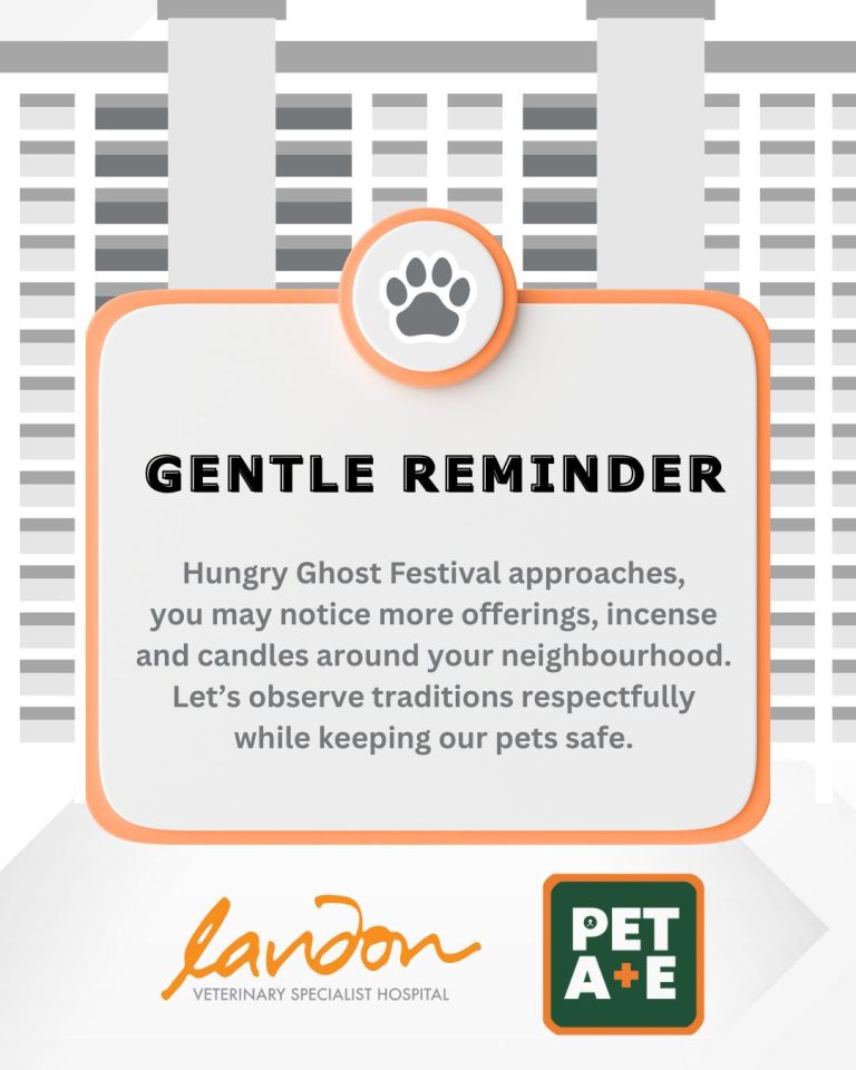 532333718 1225137786080738 1820261862680029396 n 768x960