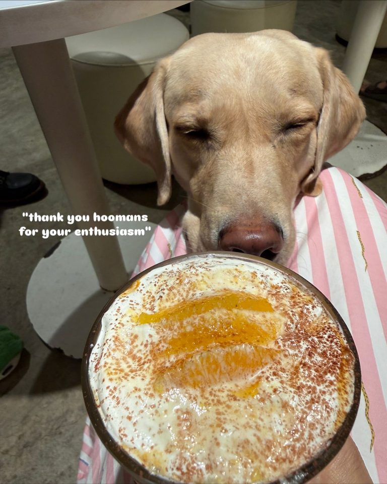 572126571 18079153064472354 7405675029530706791 n 768x960